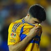 Nicolás Ibáñez sufrió una lesión en un entrenamiento con Tigres.