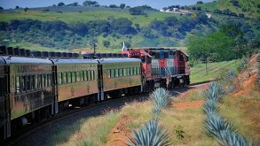 Descubre aquí todo lo que la nueva Ruta del Tequila en Los Altos de Jalisco tiene para ofrecer en su recorrido que combina tradición, cultura y aventura.