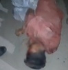 un hombre golpeado tirado en el piso