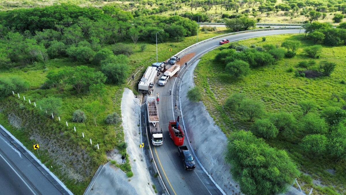 Un tráiler lleno de vacas volcó sobre la autopista Periférico en el municipio de Juárez, Nuevo León.