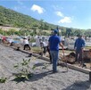 El programa “Parqueantones” convierte los cementerios municipales de Tlajomulco en áreas verdes con especies endémicas y resistentes al cambio climático, foment