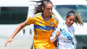 Las 'Amazonas' continúan de líderes en la Liga MX Femenil tras 14 jornadas disputadas en la presente temporada.