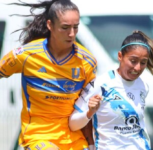 Las 'Amazonas' continúan de líderes en la Liga MX Femenil tras 14 jornadas disputadas en la presente temporada.