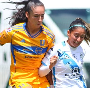 Las 'Amazonas' continúan de líderes en la Liga MX Femenil tras 14 jornadas disputadas en la presente temporada.