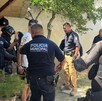 Jefe de la policía de Torreón libera a mujer privada de su libertad por su hermano.