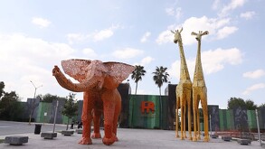 Zoológico La Pastora es el peor de todo México, asegura médico veterinario