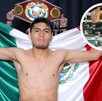 Ángel Fierro se mostró visiblemente desesperado ante la imposibilidad de derrotar a su rival, lo que provocó que soltara la patada a su rival.