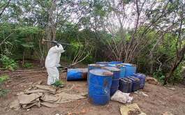 El Gabinete de Seguridad del Gobierno de México dieron a conocer los resultados de operativos en ocho estados de la República.