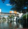 Puerro Vallarta inundaciones Priscilla