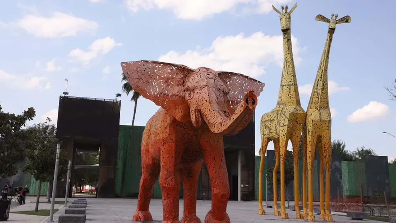 Tras el cierre del zoológico La Pastora por el caso de la osa Mina, legisladora propone reubicarlo fuera del área metropolitana.