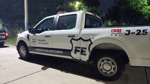 Un hombre de 65 años fue hallado muerto en Guadalajara; su leal perrita de tres patas permaneció junto al cuerpo protegiéndolo durante días.