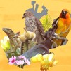 Descubre aquí las especies únicas que solo existen en Jalisco. Distinta flora y fauna que revelan la riqueza natural y el desafío de conservarlas.