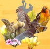 Descubre aquí las especies únicas que solo existen en Jalisco. Distinta flora y fauna que revelan la riqueza natural y el desafío de conservarlas.