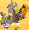 Descubre aquí las especies únicas que solo existen en Jalisco. Distinta flora y fauna que revelan la riqueza natural y el desafío de conservarlas.