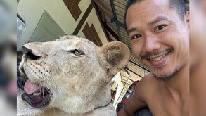 Leona del influencer Parinya Parkpoom en Tailandia escapa y ataca a personas. El creador de contenidos se disculpa mientras autoridades investigan.