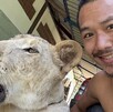Leona del influencer Parinya Parkpoom en Tailandia escapa y ataca a personas. El creador de contenidos se disculpa mientras autoridades investigan.