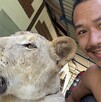 Leona del influencer Parinya Parkpoom en Tailandia escapa y ataca a personas. El creador de contenidos se disculpa mientras autoridades investigan. Leona del influencer Parinya Parkpoom en Tailandia escapa y ataca a personas. El creador de contenidos se disculpa mientras autoridades investigan.
