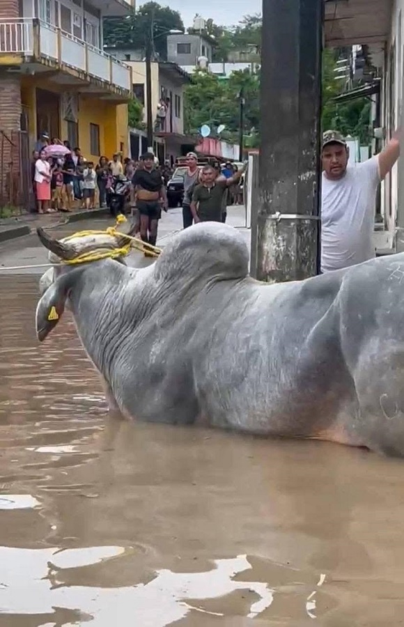 Ríos, caminos, puentes y carreteras se vieron destrozados por el paso de la lluvia, lo que ha obligado a cerrar caminos para advertir sobre el nivel del agua. Ríos, caminos, puentes y carreteras se vieron destrozados por el paso de la lluvia, lo que ha obligado a cerrar caminos para advertir sobre el nivel del agua.