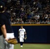 Los Fantasmas Grises vivirán el próximo año su temporada 87 de manera ininterrumpida en la Liga Mexicana de Beisbol. Los Fantasmas Grises vivirán el próximo año su temporada 87 de manera ininterrumpida en la Liga Mexicana de Beisbol.