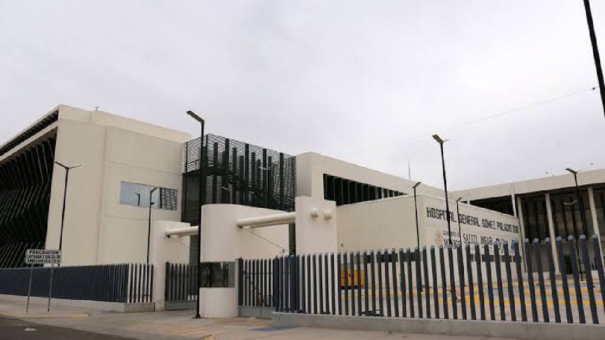 Una niña de 11 años fue ingresada de urgencia a la unidad de terapia intensiva del Hospital General de Gómez Palacio por un posible caso de Rickettsia. Una niña de 11 años fue ingresada de urgencia a la unidad de terapia intensiva del Hospital General de Gómez Palacio por un posible caso de Rickettsia.