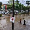 Distintas personas han tenido que salir de sus hogares a la espera de ayuda, ya que las lluvias han inundado casi por completo diversos municipios. Distintas personas han tenido que salir de sus hogares a la espera de ayuda, ya que las lluvias han inundado casi por completo diversos municipios.