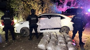 Marihuana Tuxpan Jalisco