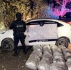 Marihuana Tuxpan Jalisco