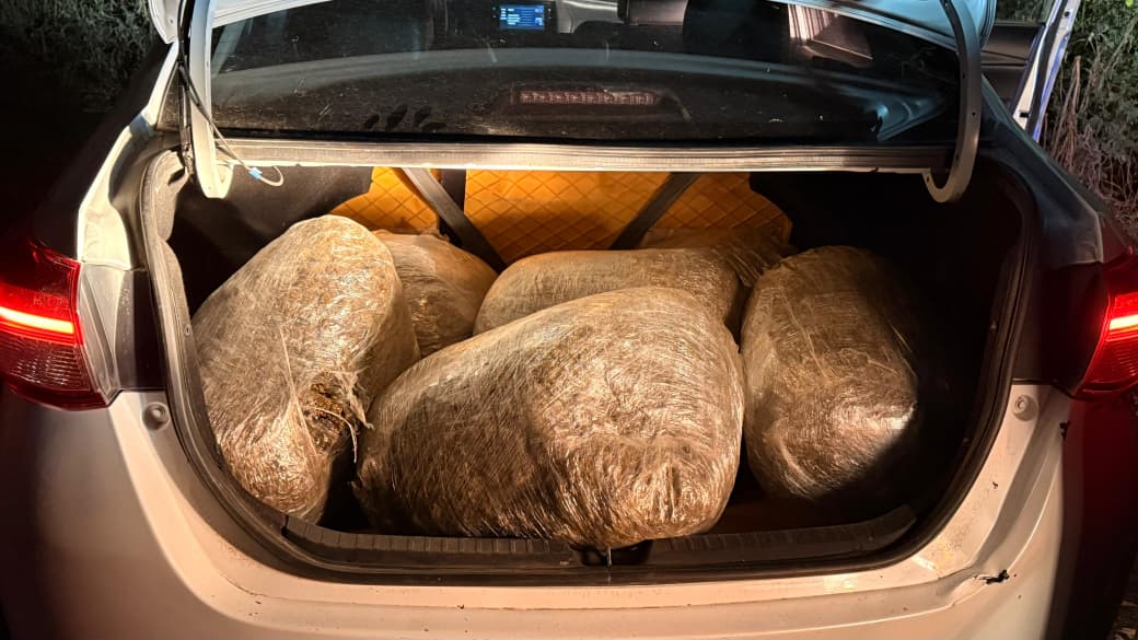 Marihuana Tuxpan Jalisco Marihuana Tuxpan Jalisco