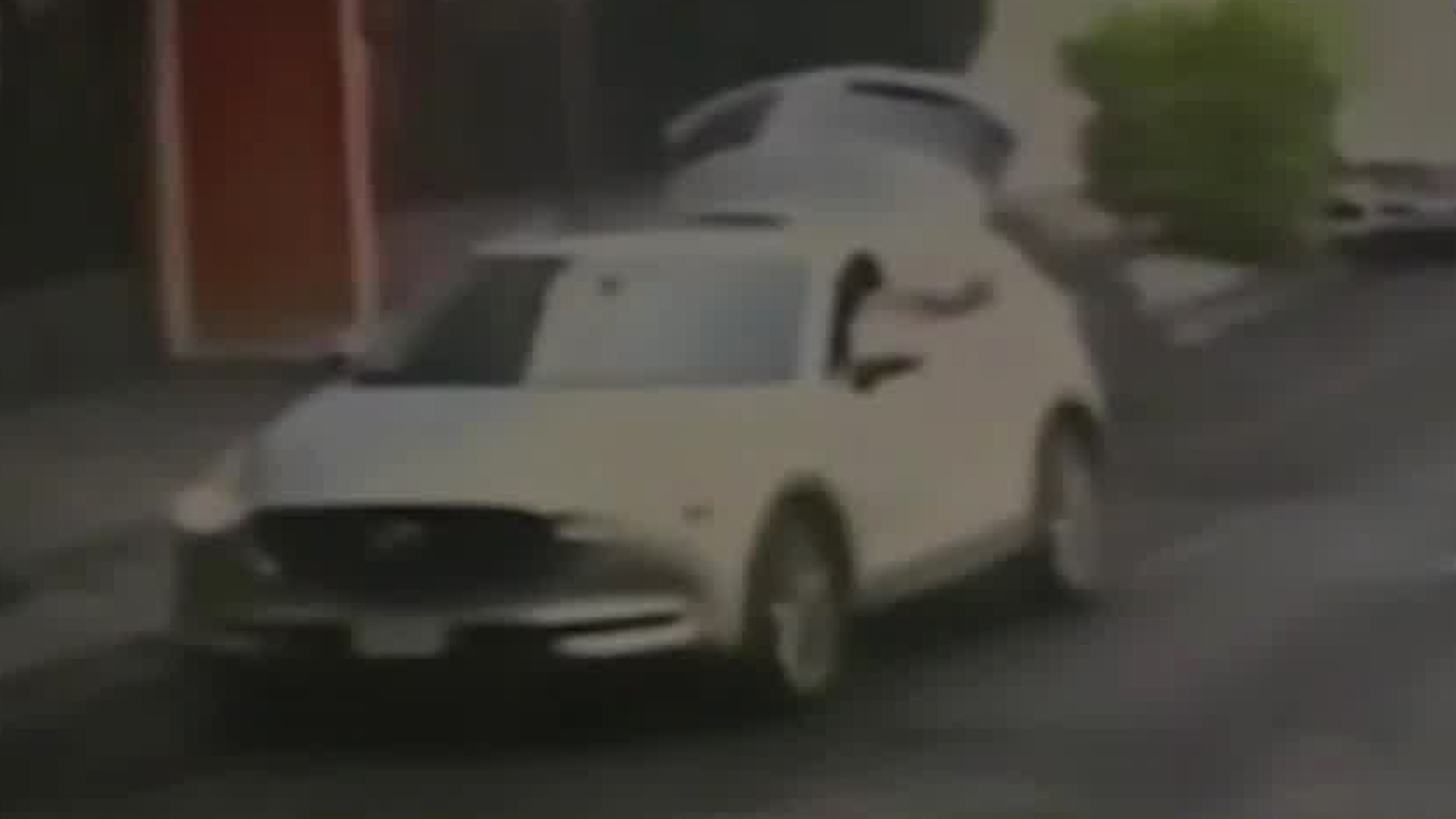 Vecinos de la colonia Lindavista aseguran que los habitantes del área son amigables con las mascotas.