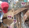 Prendas y objetos personales fueron encontrados junto a restos humanos en avanzado estado de descomposición. Crédito: Cortesía / Madres Buscadoras de Jalisco