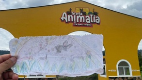 un dibujo frente a la fachada de un zoológico