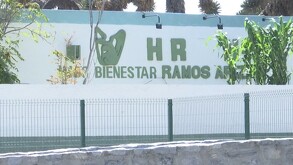 El cuerpo del taxista fue trasladado al Servicio Médico Forense (Semefo) para las diligencias correspondientes, mientras las autoridades continúan con las inves