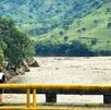 El río San Marcos arrastró a algunas personas que fueron c El río San Marcos arrastró a algunas personas que fueron c