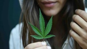 El alcohol y la marihuana alteran la expresión genética.