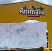 un dibujo frente a la fachada de un zoológico un dibujo frente a la fachada de un zoológico