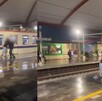 Dos hombres protagonizaron una pelea a golpes en la estación Félix U. Gómez del Metro. Dos hombres protagonizaron una pelea a golpes en la estación Félix U. Gómez del Metro.