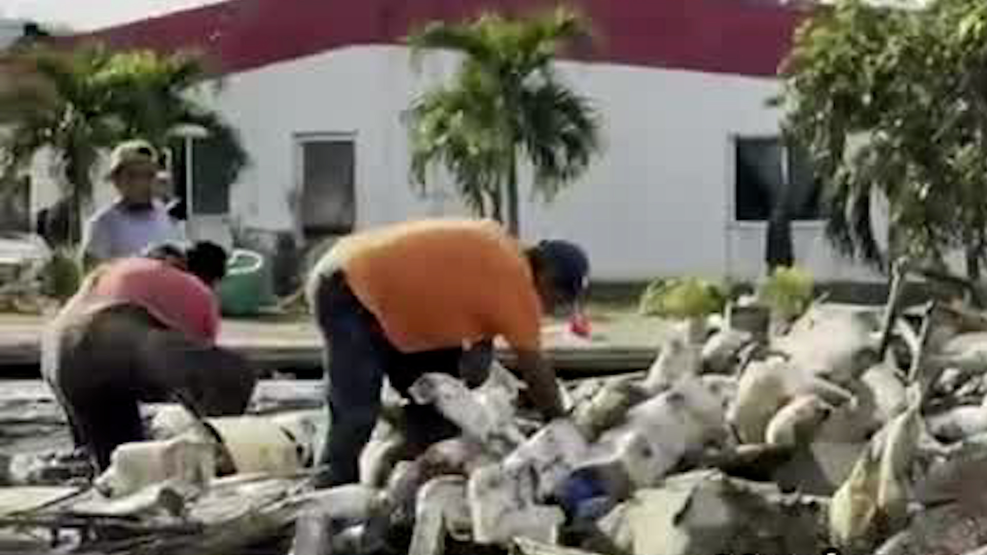 Los daños por las fuertes lluvias en Poza Rica, decenas de personas que se quedaron sin hogar esperan apoyo para sobrevivir.