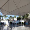 Pobreza, embarazo adolescente y reprobación son causas de deserción, según Mexicanos Primero Pobreza, embarazo adolescente y reprobación son causas de deserción, según Mexicanos Primero