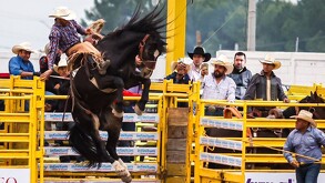 En el Rodeo Saltillo también se contará con una exposición ganadera, el rodeo de toros, muestra vitivinícola, zona infantil, juegos y restaurantes de Coahuila.