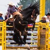 En el Rodeo Saltillo también se contará con una exposición ganadera, el rodeo de toros, muestra vitivinícola, zona infantil, juegos y restaurantes de Coahuila. En el Rodeo Saltillo también se contará con una exposición ganadera, el rodeo de toros, muestra vitivinícola, zona infantil, juegos y restaurantes de Coahuila.