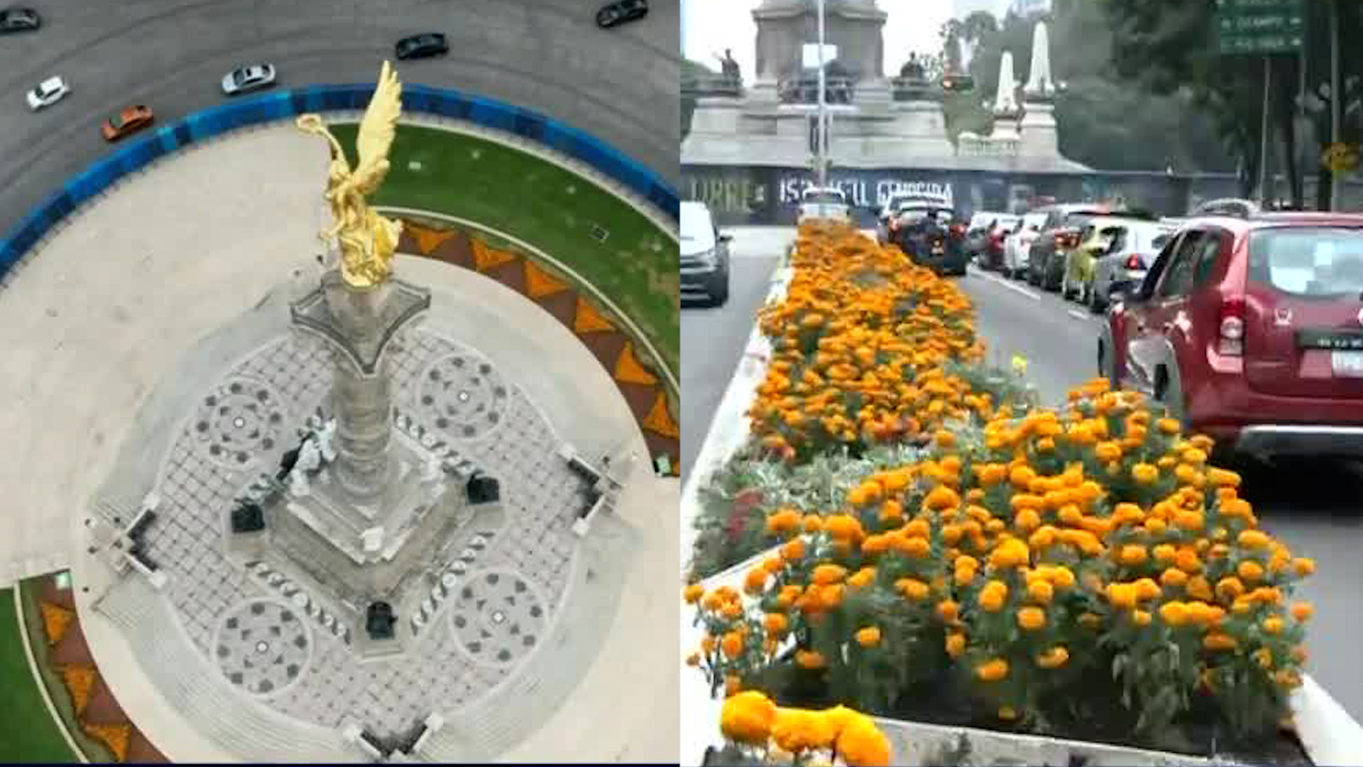 Personal del Gobierno de la Ciudad de México comienza a colocar flores de cempasúchil sobre el camellón de Paseo de la Reforma por vísperas del Día de Muertos.