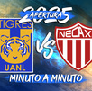 La última derrota de Tigres con el Necaxa en casa se registró en el Apertura 2016 por marcador de 2-0. La última derrota de Tigres con el Necaxa en casa se registró en el Apertura 2016 por marcador de 2-0.