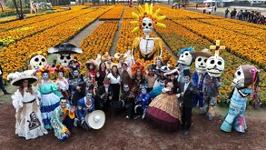 Cultivos de flores de cempasúchil en Xochimilco, que fueron mostrados durante la presentación del “Sendero de las Almas”.