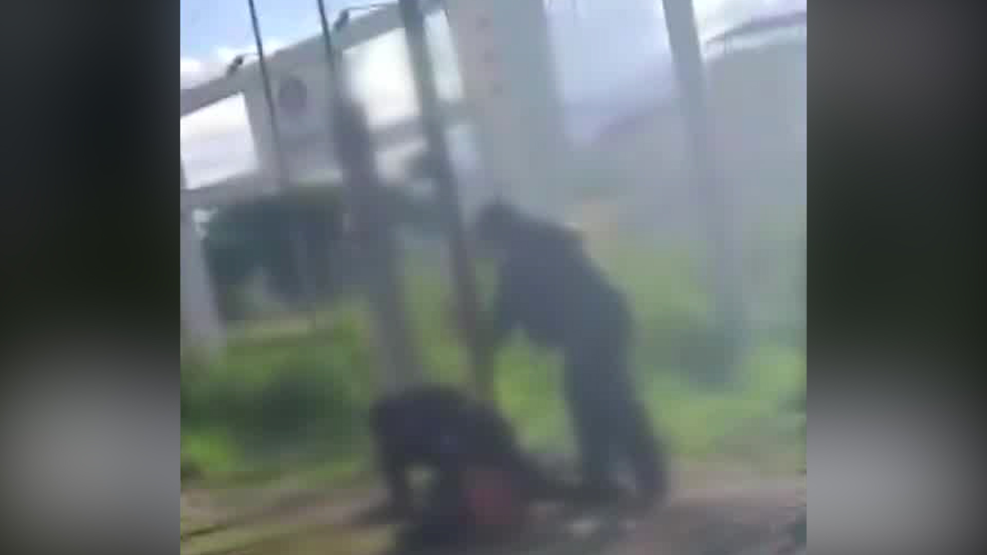 En las imágenes grabadas por un ciudadano se muestra como el agente tenía sometido al sujeto.