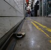Unos 400 locatarios de Irapuato quienes ofrecen sus mercancías, aseguran que desde el año pasado tienen que pagar el ‘cobro de piso’ cada 15 días.