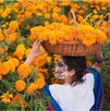 Mujer con maquillaje de catrina y rebozo azul posa en un campo de cempasúchil anaranjado. Sostiene una canasta llena de flores sobre su cabeza. Ambiente festivo Mujer con maquillaje de catrina y rebozo azul posa en un campo de cempasúchil anaranjado. Sostiene una canasta llena de flores sobre su cabeza. Ambiente festivo