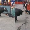 un toro en una calle con varias personas un toro en una calle con varias personas