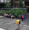 La calidad del aire en la Ciudad de México mantiene alerta a los ciudadanos por sus niveles.
