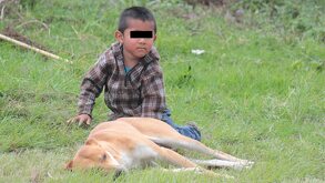 Niño en situación de pobreza jugando con un perro en Azumiatla, Puebla.