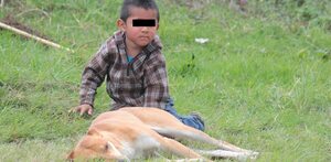 Niño en situación de pobreza jugando con un perro en Azumiatla, Puebla.